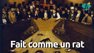 Les ratodromes ou quand les rats entrent dans l’arène  Linstant culture [upl. by Padgett]