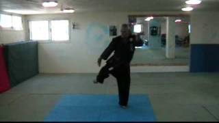 Saifa Kata  Smash amp Tear Learning  USA Goju Karate [upl. by Scotty]