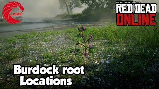 Burdock Root Locations RDR2 Online  Red Dead Online Burdock Root Location Guide [upl. by Isaacson]