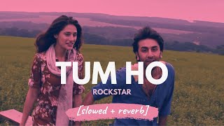 Tum Ho  Mohit Chauhan Rockstar slowed  reverb [upl. by Intruok]