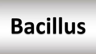 How to Pronounce Bacillus [upl. by Akeemaj]