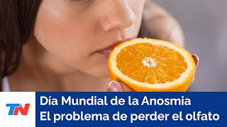 Día Mundial de la Anosmia El problema de perder el olfato [upl. by Ellesig]