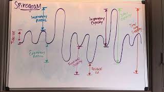 Understanding the Spirogram [upl. by Koehler]