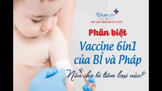 Sự khác nhau giữa vacxin 6in1 loại của Bỉ hay Pháp bố mẹ đã biết  Bluecare [upl. by Aitnohs]