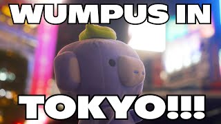 Wumpus Goes to TOKYO 🇯🇵 [upl. by Myrtia671]