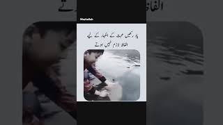 Allah pak na har Anshan ka Dil ma reh rkha hai [upl. by Mallis]