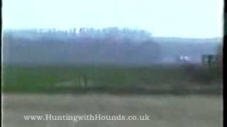 Kippers Bitch Vs The Captain  Pre Ban Hare Coursing [upl. by Lilias]