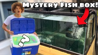 I Bought a MYSTERY FISH BOX [upl. by Annahahs]