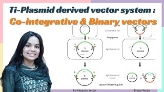 Cointegrative amp Binary Vector system  Basic protocol for agrobacterium mediated gene transfer [upl. by Anuahs]