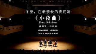 FSchubert Serenade  舒伯特小夜曲  Amber Quartet China  琥珀四重奏 [upl. by Soutor]