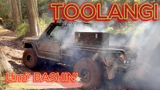 LIMI BASHIN TOOLANGI Cockpit amp Blowhard Track [upl. by Atnahsa]