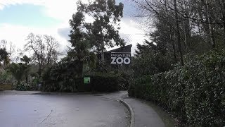 Paignton Zoo February 2019 [upl. by Rana812]