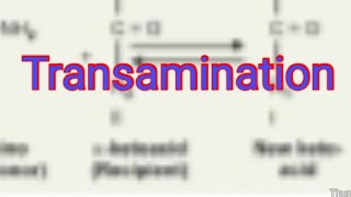 Transamination Biochemistry [upl. by Cheney494]