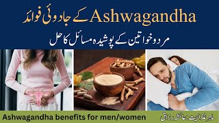 Ashwagandha Benefits For MenWomen Ashwagandha Ke Fayde Dietitian Ayesha Razzaq [upl. by Aihsenad690]