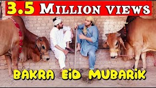 Bakra Eid mubarik l Peshori vines Official [upl. by Otrebron]