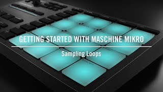 Sampling Loops on MASCHINE MIKRO  Native Instruments [upl. by Anitsenre]