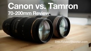 Canon VS Tamron 70200mm Lens Comparison and Review [upl. by Orelle]