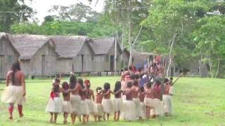 Origens  Aldeia Indigena Yawanawa [upl. by Ahsaetal473]