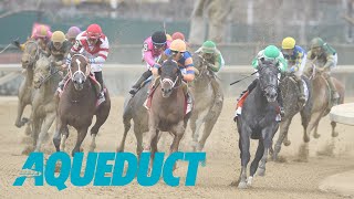 Aqueduct Simulcasting  February 3 2024 [upl. by Christoffer]