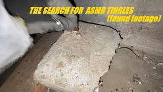 The Search For ASMR Tingles found footage [upl. by Neetsuj429]