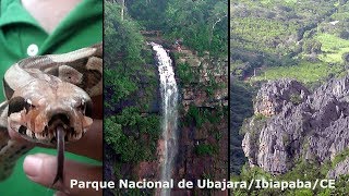 Ubajara Parque Nacional Cearense [upl. by Radke]