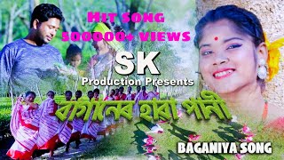 Baganer Hawa Pani ll Anil Soren amp Dipjyoti Mahlill Modern Jhumur song plzs subscribe the channel [upl. by Ettevi]