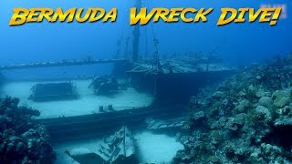 Diving the Hermes Wreck Bermuda The Bermuda Triangle [upl. by Nuahsed]