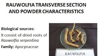 Microscopy of Rauwolfia roots its Transverse section powder characteristics of plant root [upl. by Nylisoj]