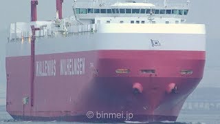 TITANIA  Wallenius Wilhelmsen vehicles carrier  June 2018 [upl. by Anitra]