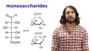 Carbohydrates Part 1 Simple Sugars and Fischer Projections [upl. by Laiceps]