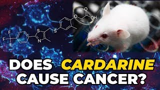 Does Cardarine Cause Cancer  The Human Equivalent Dose [upl. by Ihana]