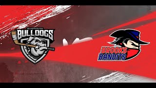 Bandits VS Bulldogs Sep 14th2024 Highlights [upl. by Karylin573]