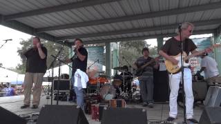 Steve Riley amp the Mamou Playboys  quotdu Mardi Gras  243quot [upl. by Yvor]