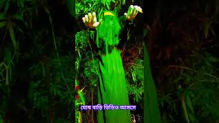 Ghosh bari 😂😂 মহাদেছ video mohadeshali [upl. by Gnilyarg]