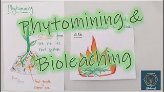 Extraction Methods  Bioleaching amp Phytomining  Environmental Chemistry  Chemistry  FuseSchool [upl. by Eelirol399]