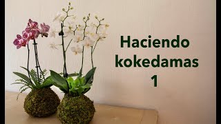 Haciendo Kokedamas 1 I Kokedama orquídea [upl. by Aisorbma]