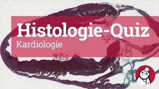 DocCheck HistologieQuiz Kardiologie [upl. by Inoek249]