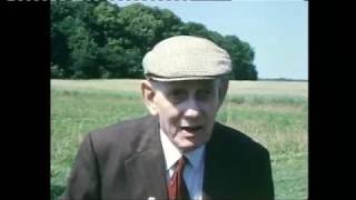 ITV Wales Mametz Wood Archive Interviews [upl. by Aihsatsan]