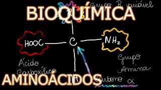 Aula Bioquímica Médica  Aminoácidos  Bioquímica 1 [upl. by Misa34]