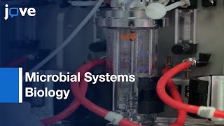 Chemostats In Microbial Systems Biology l Protocol Preview [upl. by Hinkel368]