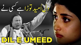 Dil E Umeed Tora Hai Kisi Ne  SlowedReverb  trending lofi Lofi  Koi Umeed [upl. by Solomon]