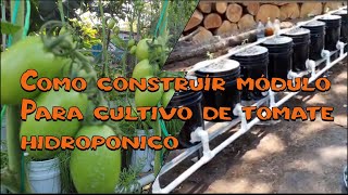 Como construir sistema hidroponico con cubetas para tomate y pimiento [upl. by Atalayah306]