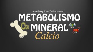 Metabolismo del Calcio  Bioquímica de Pastor [upl. by Eiramana492]