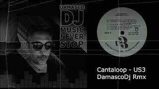 Cantaloop Flip Fantasia  US3 Damasco Dj Remix [upl. by Eedyak582]