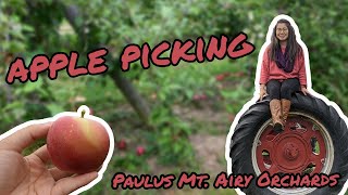 Fall Apple Picking  Paulus Mt Airy Orchards Dillsburg PA [upl. by Mike]