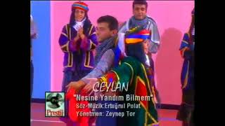 Ceylan Nesine Yandım Bilmem [upl. by Powder]