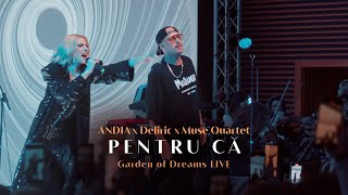 Andia x deliricofficial x Muse Quartet  Pentru ca Live from Garden of Dreams [upl. by Mairym]