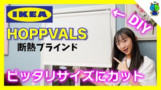 【DIY】IKEAのブラインドHOPPVALS ホップヴァルスをピッタリサイズに改造してみた！【ももかチャンネル】 [upl. by Dasie788]