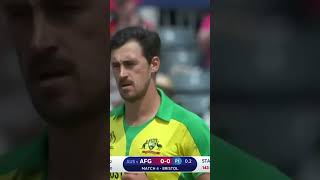 Mitchell Starc Wicket Broken Delivery cricket shorts trending viralvideo wicket [upl. by Hosbein865]