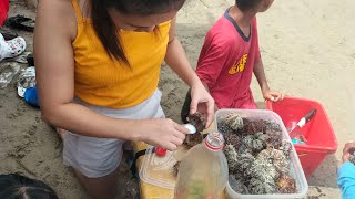 MUKBANG FRESH SWAKI SEA URCHIN [upl. by Kenney]